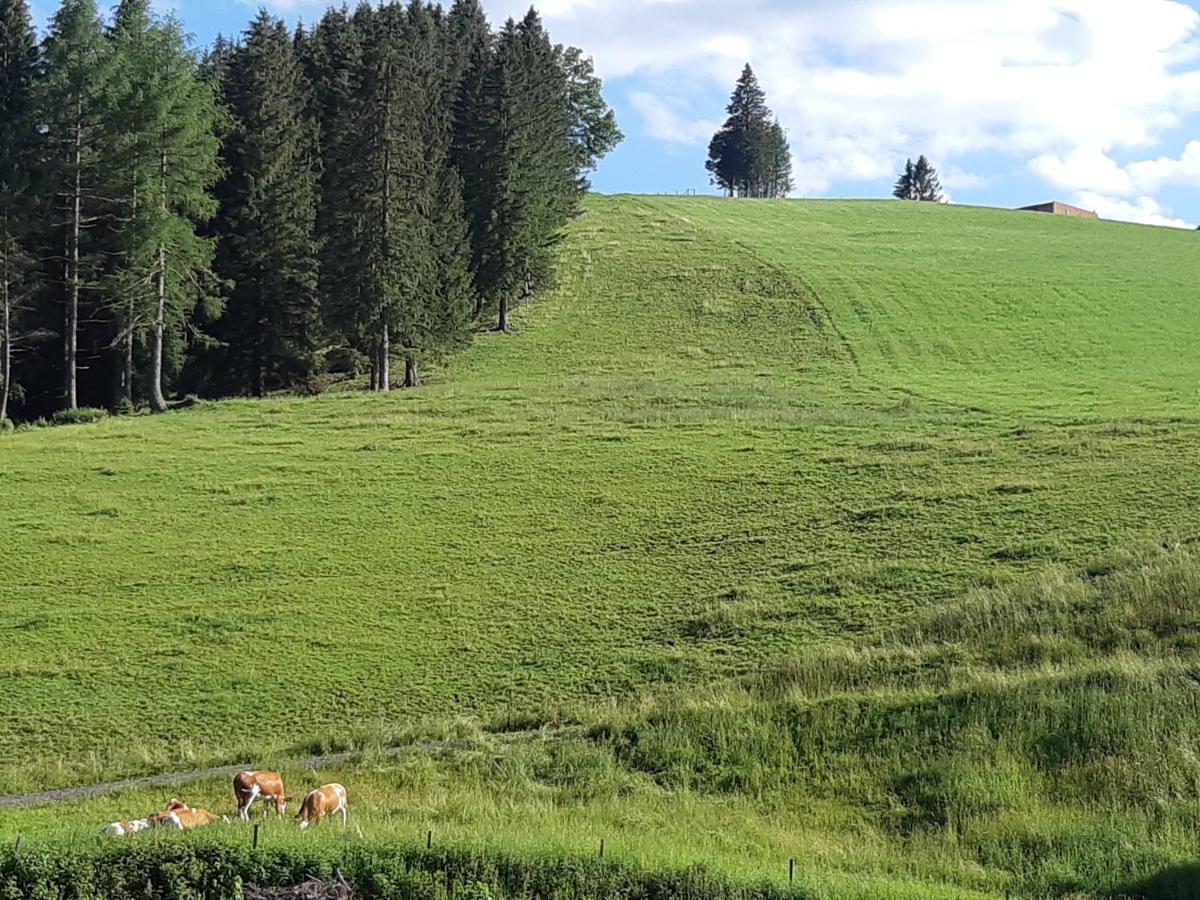 Gasthof Klug Zum Ehrensepp Modriach Exterior foto